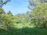 Terrain à bâtir à Montpellier (34090) 2153573-3243annonce220250510S0KQ2.jpeg Maisons France Confort