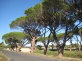 Terrain à bâtir à Sallèles-d’Aude (11590) 2126994-692annonce220250407gg17M.jpeg Maisons France Confort