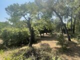Terrain à bâtir à Nîmes (30000) 2153704-3243annonce220250510Igen4.jpeg Maisons France Confort