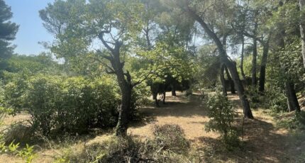 Nîmes Terrain à bâtir - 2153704-3243annonce220250510Igen4.jpeg Maisons France Confort
