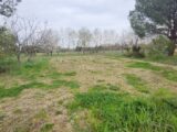 Maison à construire à Saint-Gauzens (81390) 2128959-11178annonce120250409pVMPu.jpeg Maisons France Confort