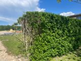 Maison à construire à Viriat (01440) 2151909-11317annonce120250507zWXwz.jpeg Maisons France Confort