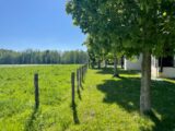 Maison à construire à Dompierre-sur-Veyle (01240) 2152486-11317annonce120250509z6Pru.jpeg Maisons France Confort