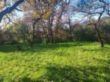 Maison à construire à La Valette-du-Var (83160) 2152502-11136annonce120250509LA2hi.jpeg Maisons France Confort