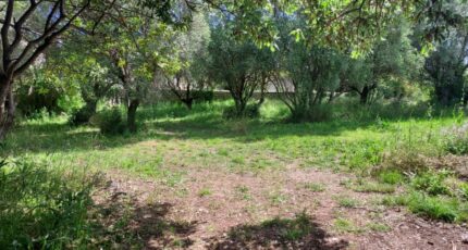 Cuers Maison neuve - 2154305-11137annonce320250512iex1A.jpeg Maisons France Confort