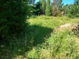 Maison à construire à Plaisance-du-Touch (31830) 2151726-9555annonce120250507RRlzx.jpeg Maisons France Confort