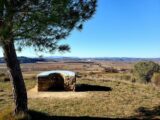 Terrain à bâtir à Alignan-du-Vent (34290) 2154736-11018annonce420250512VoVLQ.jpeg Maisons France Confort