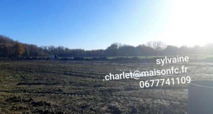Carvin Maison neuve - 2155154-5754annonce120250512xluTy.jpeg Maisons France Confort