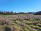 Maison à construire à Saint-Jean-de-Duras (47120) 2155241-11103annonce120250502XDaId.jpeg Maisons France Confort