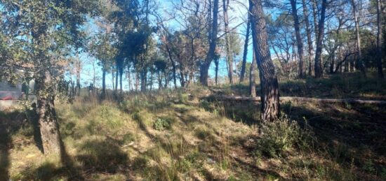 Terrain à bâtir à Rocbaron, Provence-Alpes-Côte d'Azur