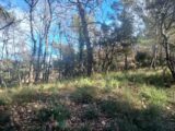 Terrain à bâtir à Rocbaron (83136) 2155275-11137annonce320250116RtdGg.jpeg Maisons France Confort