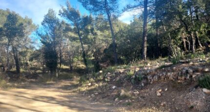 Rocbaron Terrain à bâtir - 2155294-11137annonce2202501163WlCE.jpeg Maisons France Confort
