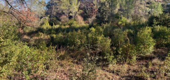 Terrain à bâtir à , Var