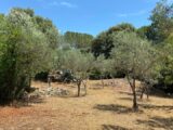 Terrain à bâtir à Camps-la-Source (83170) 2155504-10122annonce120250513dAABC.jpeg Maisons France Confort