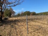 Maison à construire à Carcès (83570) 2155538-10122annonce120250513u7f0w.jpeg Maisons France Confort