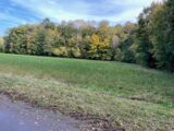 Maison à construire à Forêt-la-Folie (27510) 2089479-5312annonce1202502254QZsC.jpeg Maisons France Confort