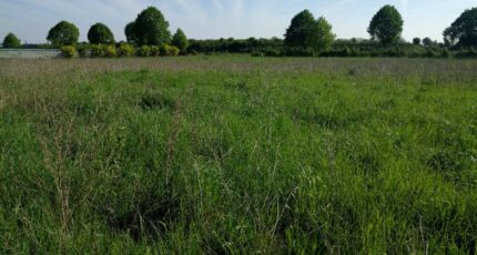 Perthes Maison neuve - 2153206-10730annonce120250509Sug32.jpeg Maisons France Confort