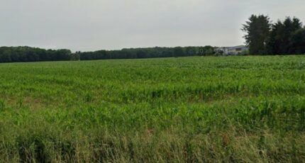 Muespach-le-Haut Maison neuve - 2156302-11139annonce120250513PpwBx.jpeg Maisons France Confort