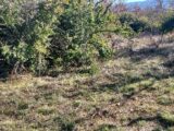 Terrain à bâtir à Gordes (84220) 2156866-695annonce420250514vC83X.jpeg Maisons France Confort