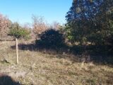 Maison à construire à Gordes (84220) 2156878-695annonce220250514NGBT1.jpeg Maisons France Confort