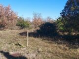 Maison à construire à Gordes (84220) 2156873-695annonce120250514HsEGD.jpeg Maisons France Confort