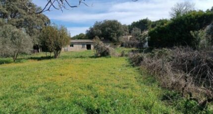 Plan-d'Orgon Maison neuve - 2157066-3418annonce1202505143TMRh.jpeg Maisons France Confort