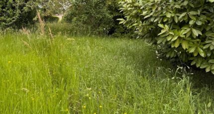 Saint-Selve Terrain à bâtir - 2157498-11337annonce120250514fZkIC.jpeg Maisons France Confort