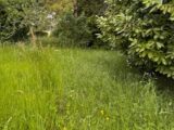 Terrain à bâtir à Martillac (33650) 2157510-11337annonce1202505144M4aL.jpeg Maisons France Confort