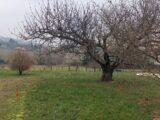 Terrain à bâtir à Ornacieux (38260) 2156714-3618annonce220250514lkbxw.jpeg Maisons France Confort