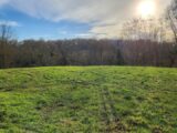 Maison à construire à Léguevin (31490) 2157034-9555annonce120250514NTM4l.jpeg Maisons France Confort