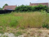 Maison à construire à Wormhout (59470) 2156025-10722annonce120250513g6XE5.jpeg Maisons France Confort