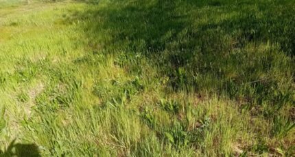 Audenge Maison neuve - 2157857-11244annonce220250515OmXfc.jpeg Maisons France Confort