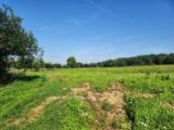 Terrain à bâtir à Friesen (68580) 2091068-6989annonce120250226e3xwc.jpeg Maisons France Confort