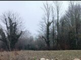 Terrain à bâtir à Morschwiller-le-Bas (68790) 2089290-6989annonce1202502250bt7K.jpeg Maisons France Confort
