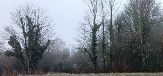 Terrain à bâtir à Morschwiller-le-Bas, Grand Est