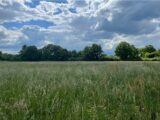 Terrain à bâtir à Sablé-sur-Sarthe (72300) 2159219-1263annonce120250516Txw83.jpeg Maisons France Confort