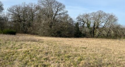 Salignac-Eyvigues Terrain à bâtir - 2142479-11160annonce320250428TQTWH.jpeg Maisons France Confort