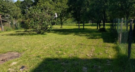 Saint-Fargeau-Ponthierry Maison neuve - 2160970-10730annonce2202505175bwZz.jpeg Maisons France Confort