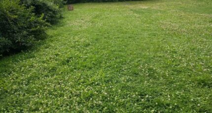 Saint-Fargeau-Ponthierry Maison neuve - 2160970-10730annonce320250517X3IPZ.jpeg Maisons France Confort