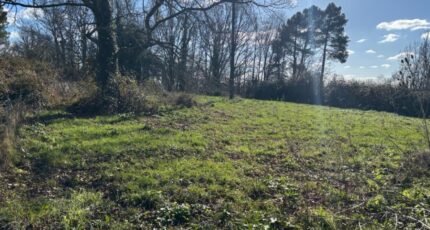 Creysse Maison neuve - 2144907-11104annonce32025020155tOT.jpeg Maisons France Confort