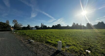 Landeronde Terrain à bâtir - 2134557-11105annonce120241216bkqDZ.jpeg Maisons France Confort