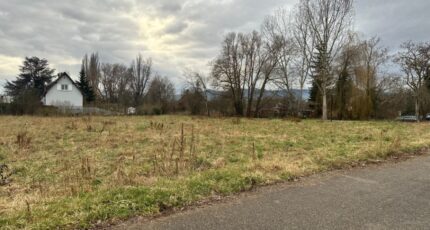Colmar Terrain à bâtir - 2160382-9613annonce320250516MHVhV.jpeg Maisons France Confort