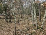 Terrain à bâtir à Trans-en-Provence (83720) 2134984-5163annonce320250417PT8bO.jpeg Maisons France Confort