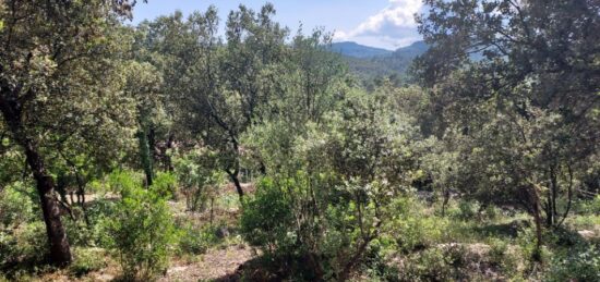 Terrain à bâtir à Sainte-Anastasie-sur-Issole, Provence-Alpes-Côte d'Azur