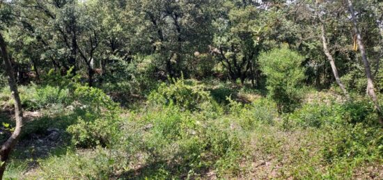 Terrain à bâtir à , Var