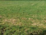 Terrain à bâtir à Sarceaux (61200) 2162035-1153annonce120240527FB5LD.jpeg Maisons France Confort