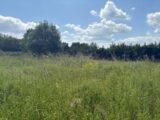 Terrain à bâtir à Nohic (82370) 2160599-11356annonce4202505166ndwP.jpeg Maisons France Confort
