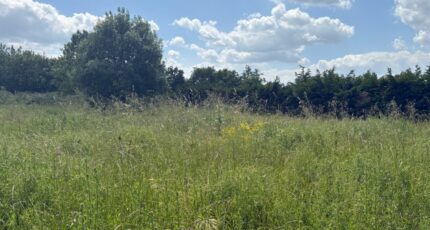 Nohic Terrain à bâtir - 2160599-11356annonce4202505166ndwP.jpeg Maisons France Confort