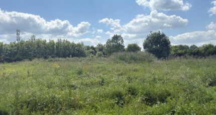 Nohic Terrain à bâtir - 2160599-11356annonce120250516g76yh.jpeg Maisons France Confort