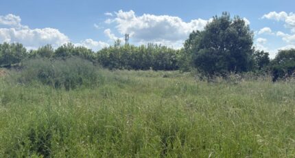 Nohic Terrain à bâtir - 2160599-11356annonce3202505164l497.jpeg Maisons France Confort